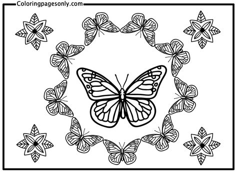 Desenhos Para Colorir Mandala Borboleta Infoupdate Org