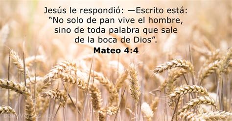 Mateo 4 LBLA NVI DailyVerses Net