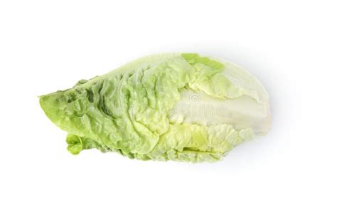 Fresh Green Romaine Lettuce Isolated On White Top View Stock Photo