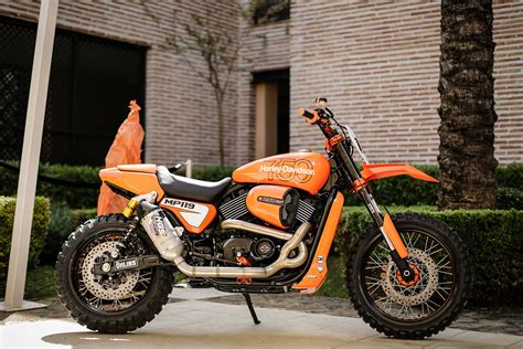 Harley Davidson Street Rod Vs Ducati Scrambler