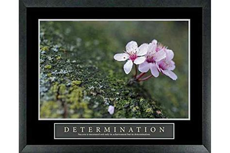 Motivational Poster Art | Determination Flowers Plants