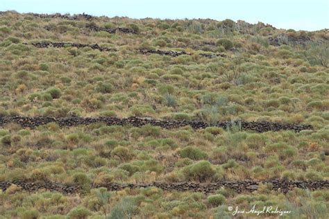 Bail N Una De Las Aldeas M S Bonitas Y Desconocidas De La Sierra De Baza