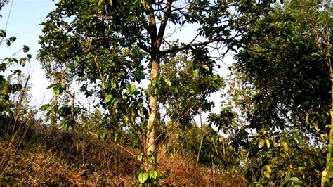 Bay Cu Gay Boi Be So Lup P YouTube