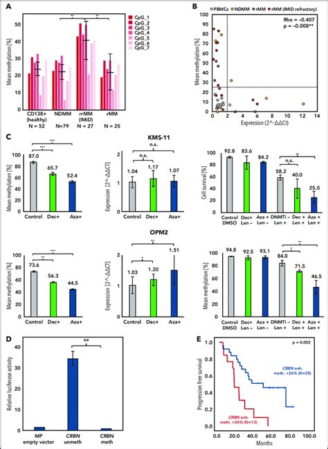 Crbn Enhancer Dna Methylation Correlates With Gene Expression Affects