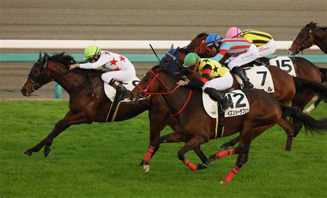 【新谷の土曜競馬コラム・朱雀s】 日刊ゲンダイ競馬