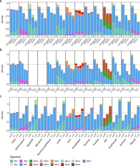 Mutational Signature Contribution To Mutational Biases Between The