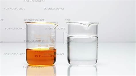 Video Iron(III) chloride reacts with ammoniu | Science Source Images