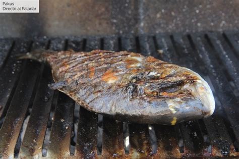 Cómo cocinar pescado a la parrilla lo que tienes que saber para que te