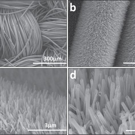 A B Sem Images Of Zno Nanorods On Carbon Cloth C D Sno