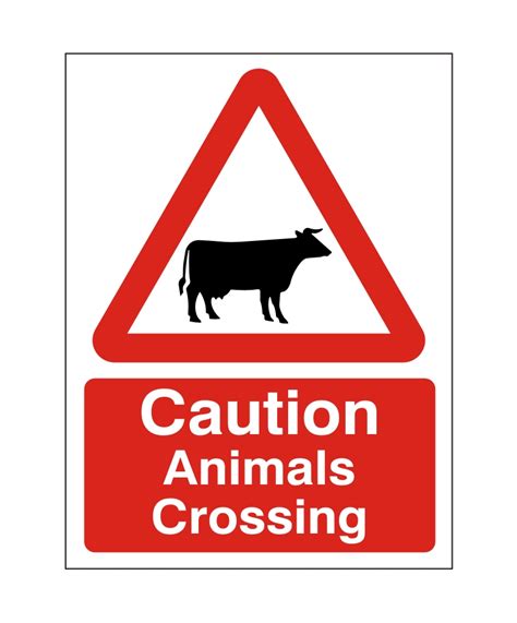 Caution Animals Crossing Sign | Adva