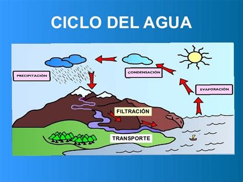 Ciclo Del Agua Filtracion Ciclo Del Agua Porn Sex Picture