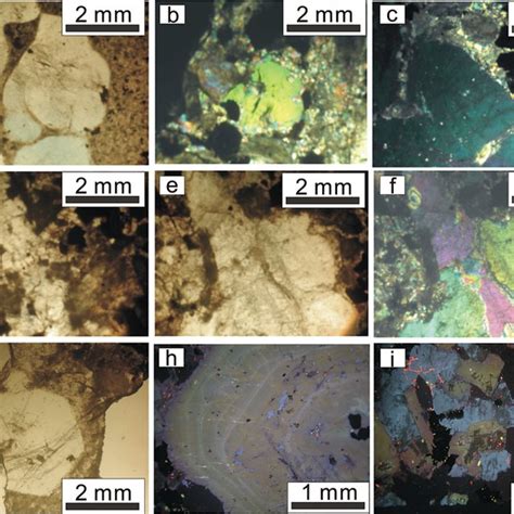 Photomicrographs Of Typical Phenocrysts Of Quartz Containing Abundant Download Scientific