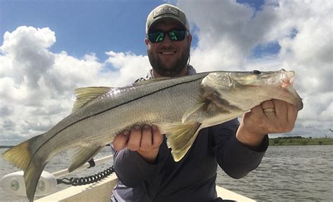 Snook Slated To Reopen In Atlantic Feb 1 Florida Sportsman