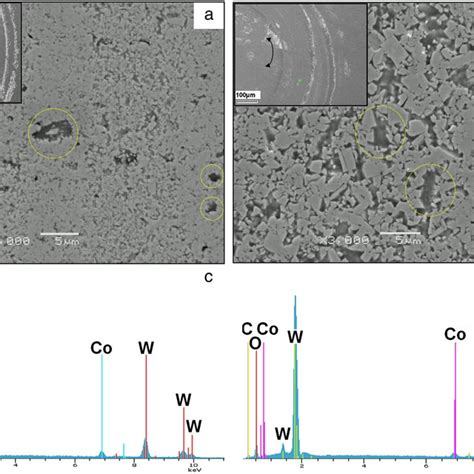 SEM SE Micrographs Of The Worn Surfaces Of A SPSed 6Co WC And B