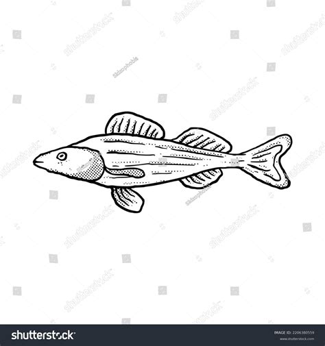 Fish Illustration Hand Drawn Cartoon Sketch Stock Vector Royalty Free