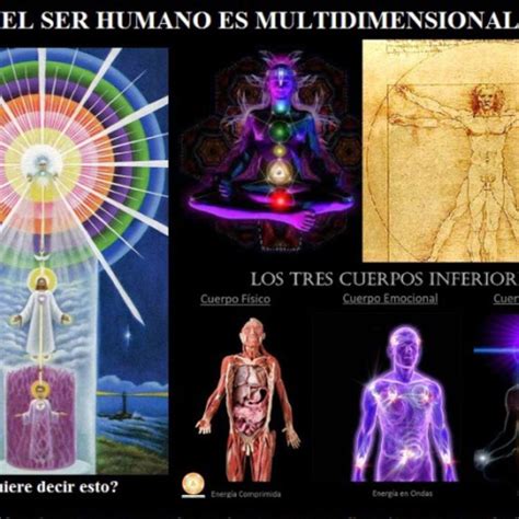 Licuar Lago Titicaca Privilegio Anatomia Energetica Del Ser Humano