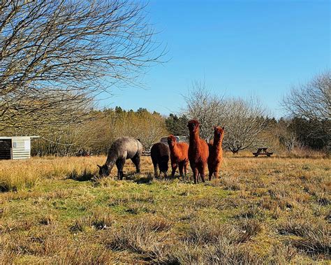 THE 15 BEST Things to Do in Telford - 2024 (with Photos) - Tripadvisor