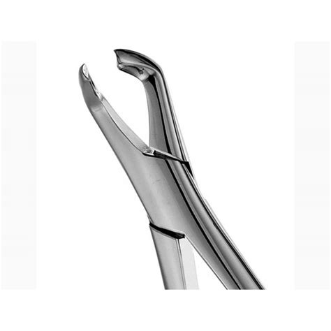 Lower Rd Molars Forceps Orange Instruments