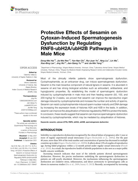 Pdf Protective Effects Of Sesamin On Cytoxan Induced Spermatogenesis