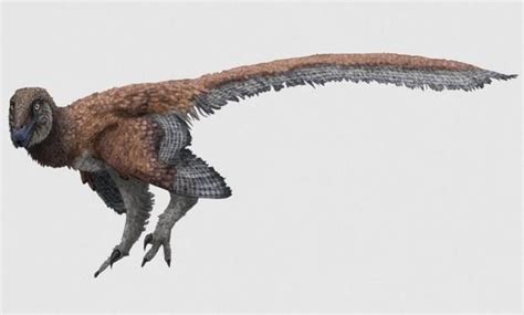 I Adore Jed Taylors Raptors Rdinosaurs