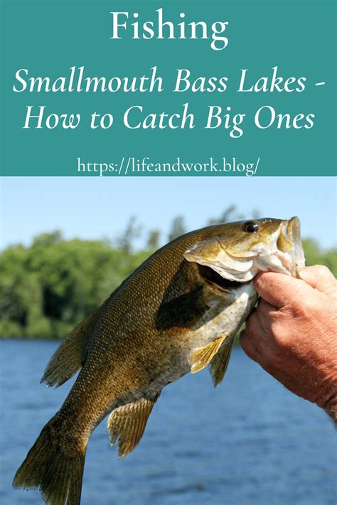 Smallmouth Bass Lakes How To Catch Big Ones