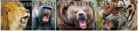 Wild Animal Fight Club - STRENGTH FIGHTER