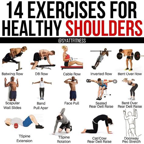 💥14 Exercises For Strong Healthy And Sexy Shoulders💥 🍕if You Take A Close Look At This Graphic