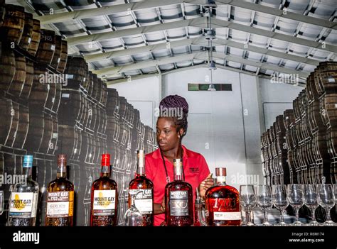 Rum tasting at Mount Gay Rum distillery in Bridgetown, Barbados Stock ...