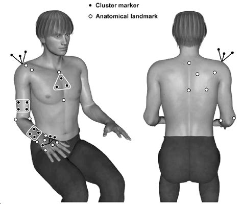 Marker Positions Positions Of Cluster Markers Black Center And