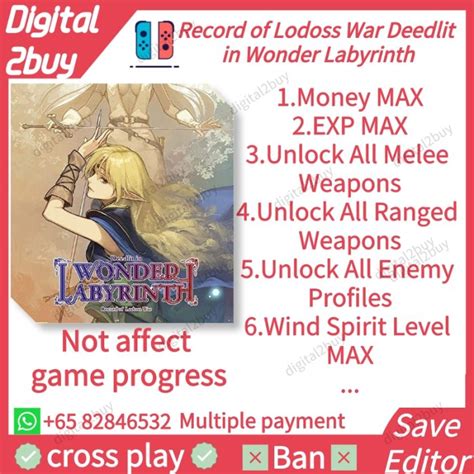 Record Of Lodoss War Deedlit In Wonder Labyrinth Save Editor ROLWDIWL