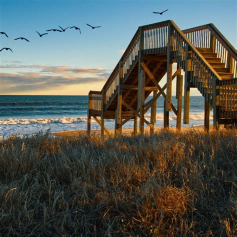 Flock Of Birds At Topsail Beach In Jacksonville Nc Travel Off Path