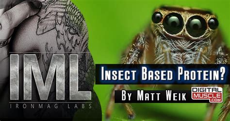 Insect Based Protein? | DigitalMuscle.com