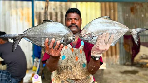 Kasimedu Speed Selvam Black Pomfret Fish Cutting In Kasimedu Hd