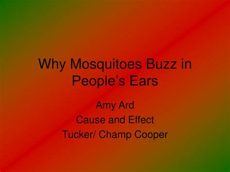 Ppt Why Mosquitoes Buzz In Peoples Ears Powerpoint Presentation