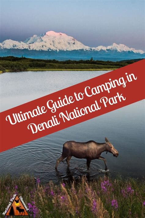 The Ultimate Guide to Camping in Denali National Park - National Park Obsessed