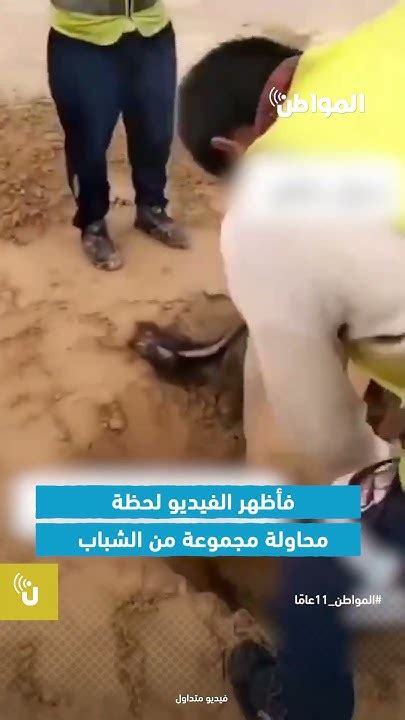 لحظة حاسمة لإنقاذ ناقة دفنها السيل بسلطنة عمان Youtube