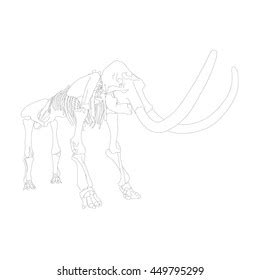 Drawing Vector Isolated Woolly Mammoth Skeleton Stock Vector (Royalty ...