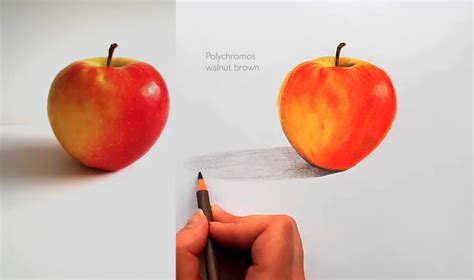 5 Easy Pencil Drawings | Skillshare Blog