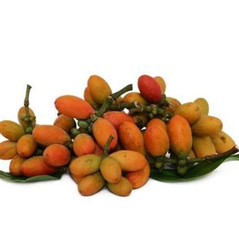 Jual Harvestmoon Buah Melinjo Per 250gr Shopee Indonesia