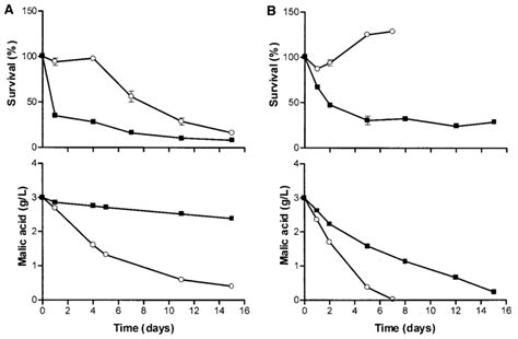 Cell Viability And Malic Acid Degradation During Culturing Of