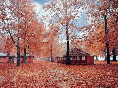 Kashmir during the autumn season India copy - Jammu Kashmir Latest News ...