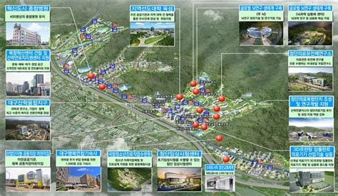 혁신도시 발전계획 대구에 뇌연구 실용화센터 설립첨단의료 집중 육성