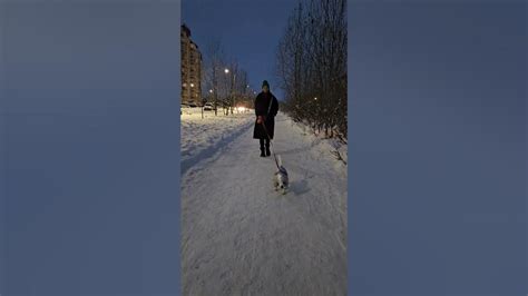 поцелуй для тебя #дети #любовь #псков #россия #семья #маматроихдетей # ...
