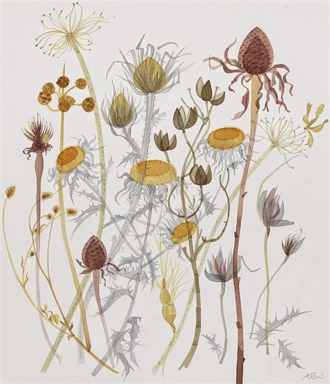 Pin By Steph K On Botanical Illustration Flower Prints Art Flower