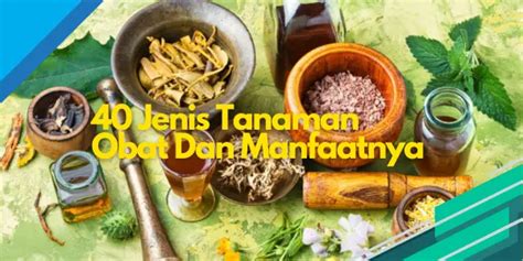 Simak Yuk 40 Jenis Tanaman Obat Dan Manfaatnya Gospel10