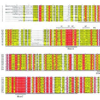 Sequence Alignment Of Homologous Proteins Of Alkb Fully Conserved