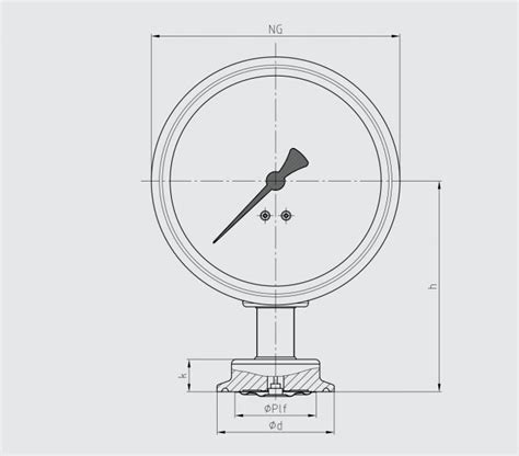 Mm Dial Pressure Gauge Diaphragm Seal Mbar Mbar Radial