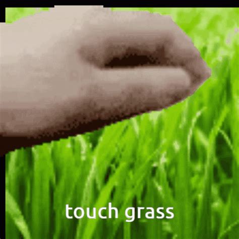 Touch Grass Touch Grass Discover Share Gifs