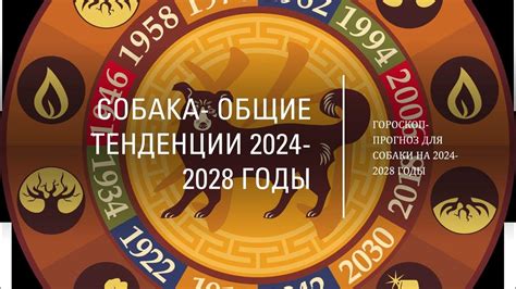 2024 - 2028 ГОДЫ – ВАШ ГОД РОЖДЕНИЯ СОБАКА. КИТАЙСКАЯ АСТРОЛОГИЯ ...