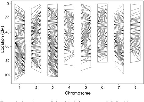 Figure 1 From Early Sex Chromosome Evolution In The Diploid Dioecious
